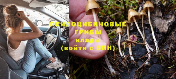 бошки Арсеньев