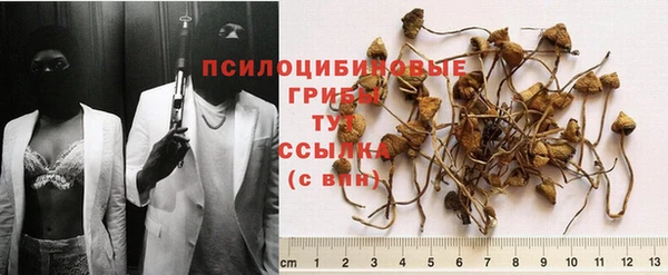 бошки Арсеньев
