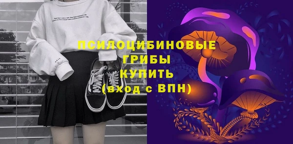 бошки Арсеньев