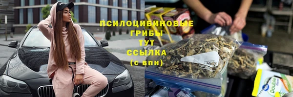 бошки Арсеньев