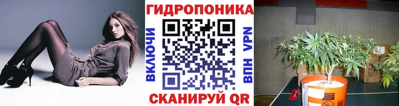 Конопля Bruce Banner Сосногорск